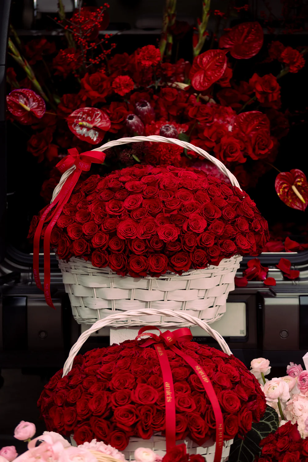 Cupid’s Promise - Image 2