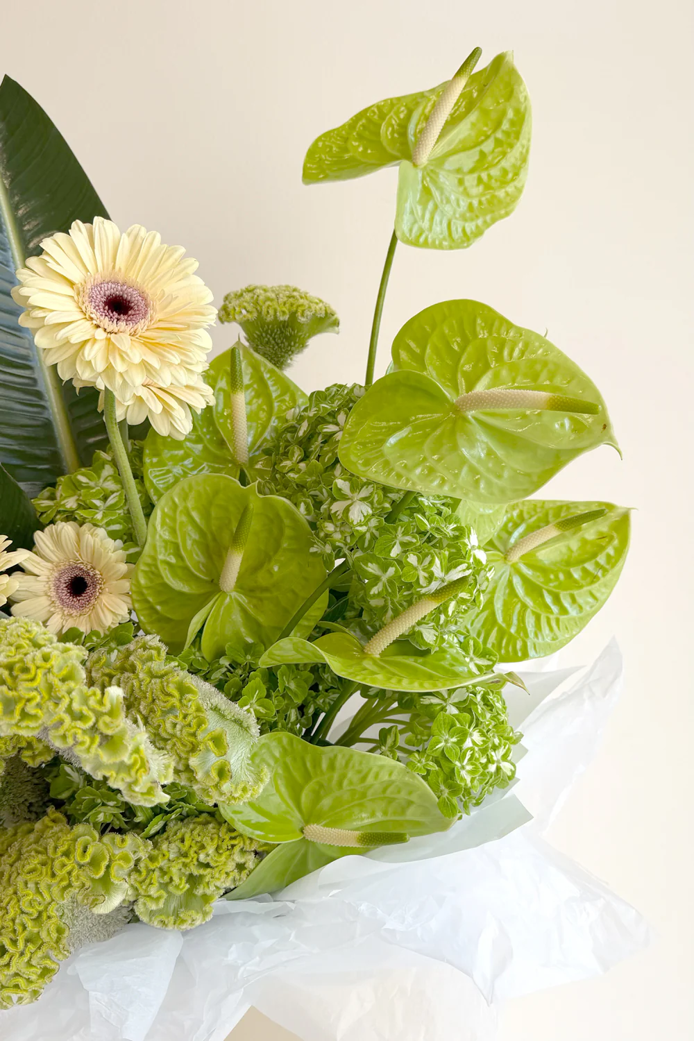 Greenish - Image 2