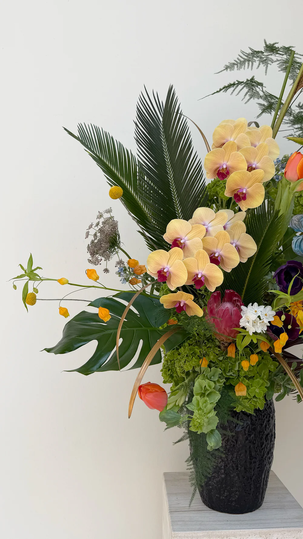 Tropical Parrot - Image 2